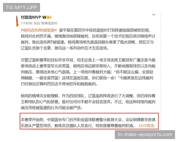 京辽大战现十四次错漏判 裁判胡廷胜执法引质疑 京辽大战现十四次错漏判 裁判胡廷胜执法引质疑