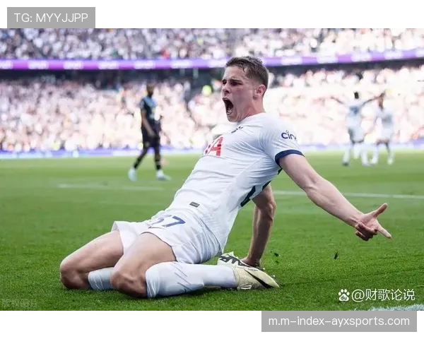 热刺若降级冲击无先例 六亿营收难换保级安全感